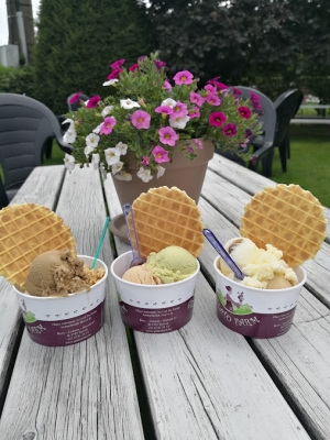 Vous allez adorer la vidéo de Gelato Farm à Teuven !