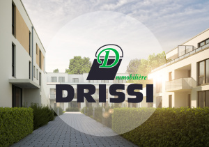Immobilière Drissi (Welkenraedt), le site web IMMO parfait pour des maisons à vendre !
