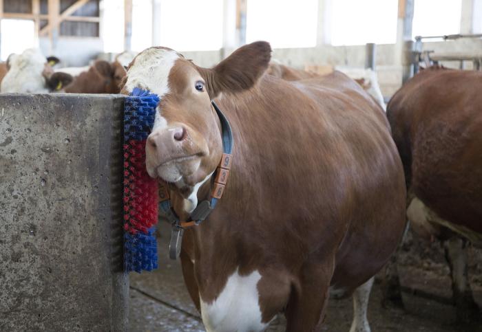 Agro Équipements (Henri-Chapelle): Nouveau E-commerce !