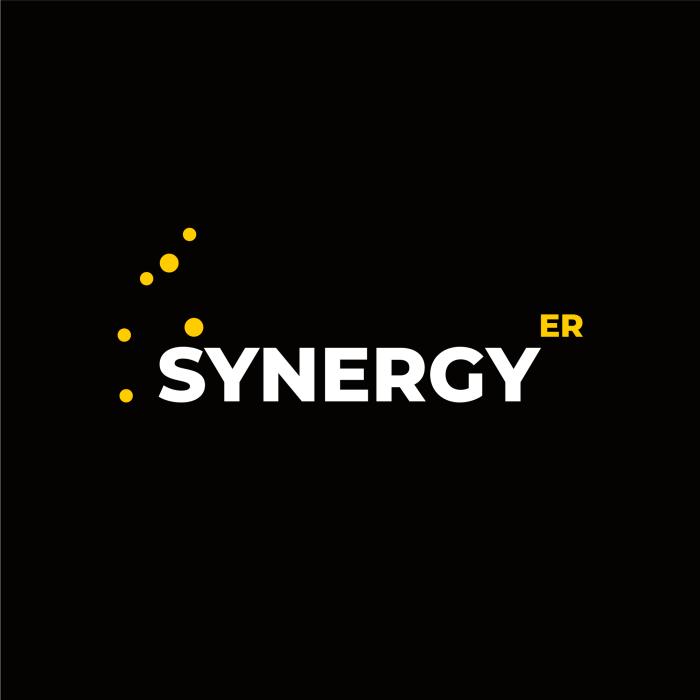 Réalisation du site internet de la société liégeoise SYNERGY-ER.